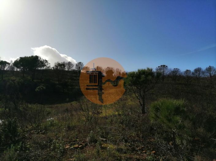 Image No.18-Plot for sale