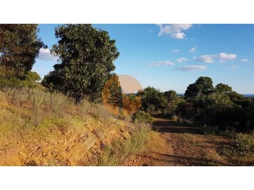 id5cfc8001-0000-0500-0000-000015fa152a