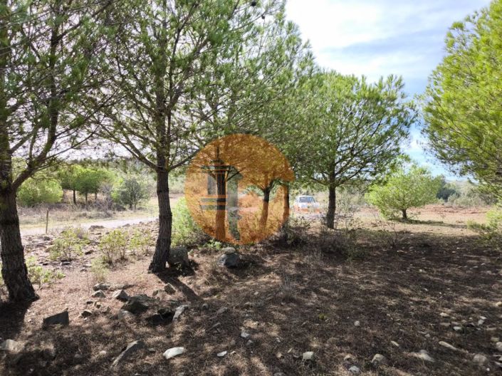 Image No.1-Plot for sale