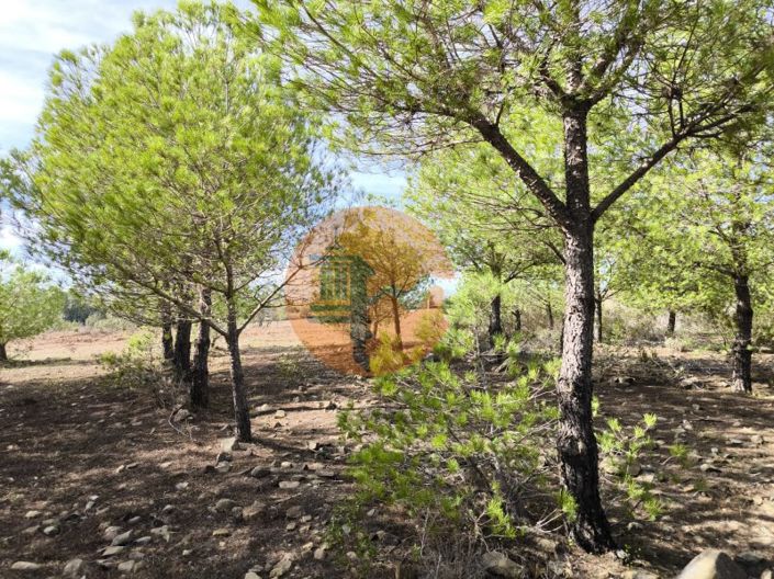 Image No.10-Plot for sale