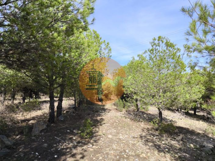 Image No.11-Plot for sale