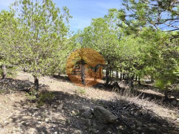 id461e7401-0000-0500-0000-000013dc48a5