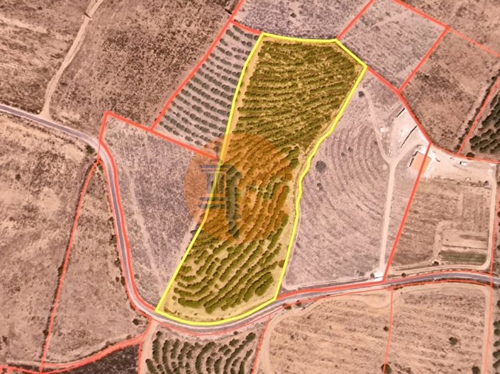 Image No.13-Plot for sale