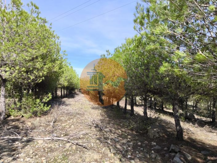 Image No.14-Plot for sale