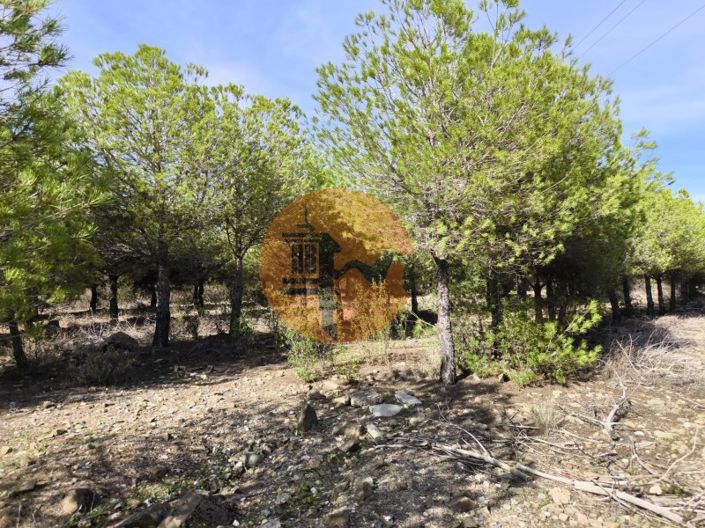 Image No.15-Plot for sale