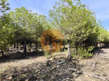 id461e7401-0000-0500-0000-000013dc48b0