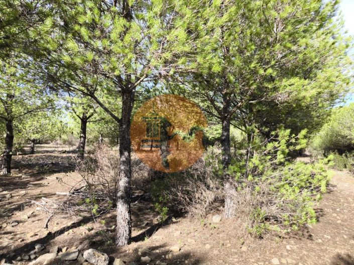 Image No.16-Plot for sale