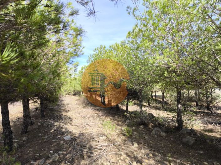 Image No.17-Plot for sale