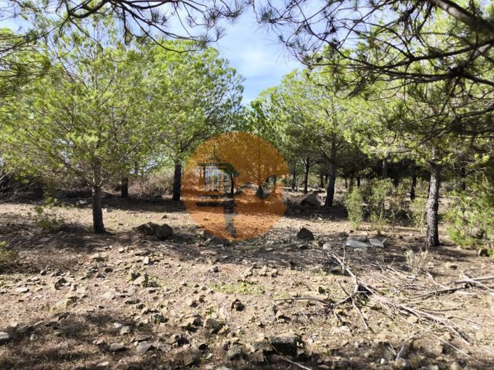 Image No.18-Plot for sale