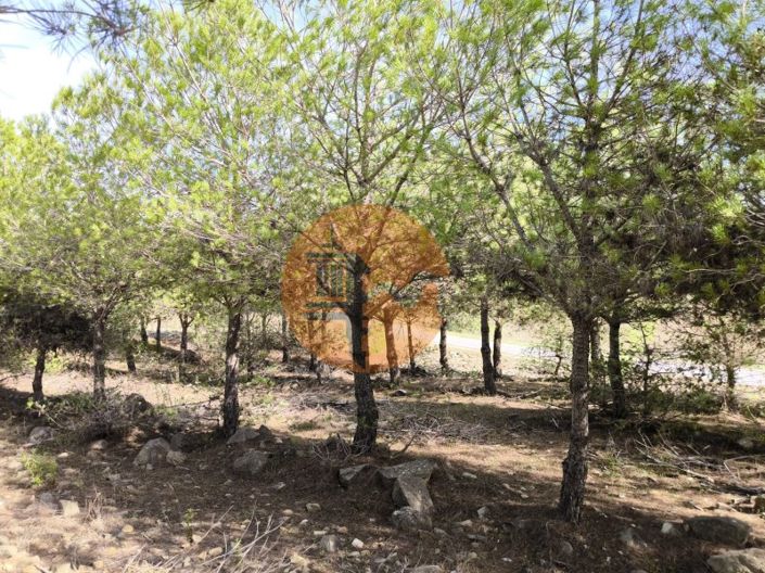 Image No.19-Plot for sale