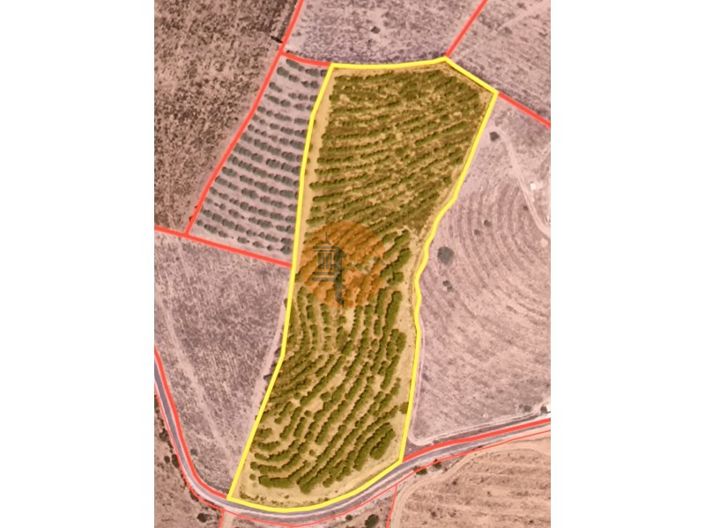 Image No.2-Plot for sale