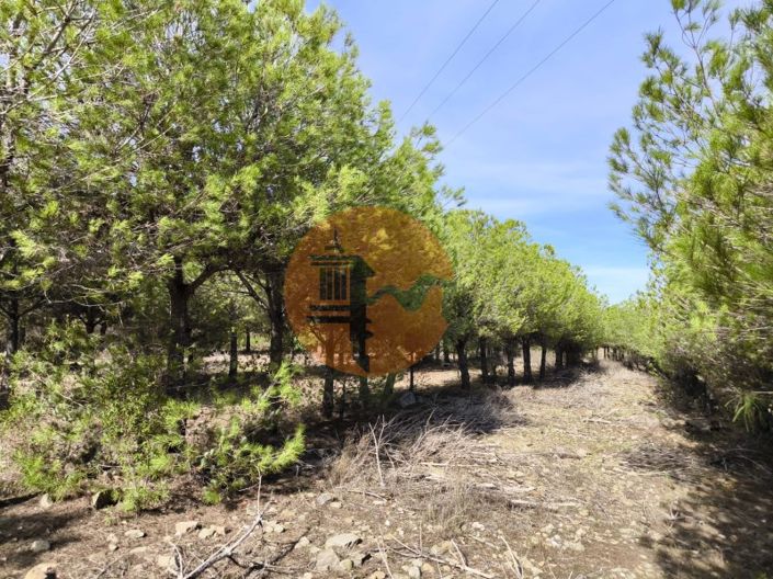 Image No.20-Plot for sale