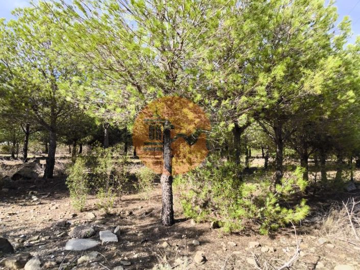 Image No.21-Plot for sale