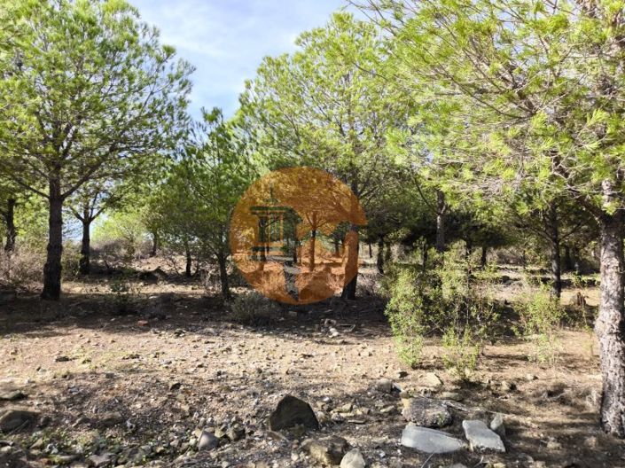 Image No.22-Plot for sale