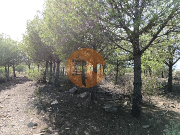 Image No.23-Plot for sale