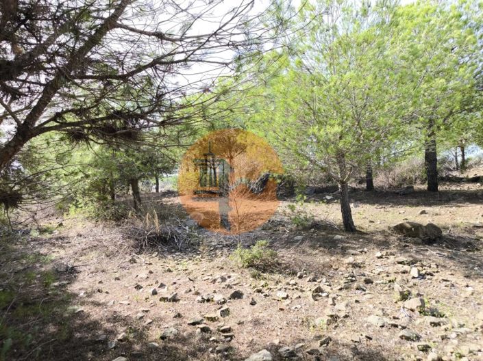 Image No.24-Plot for sale