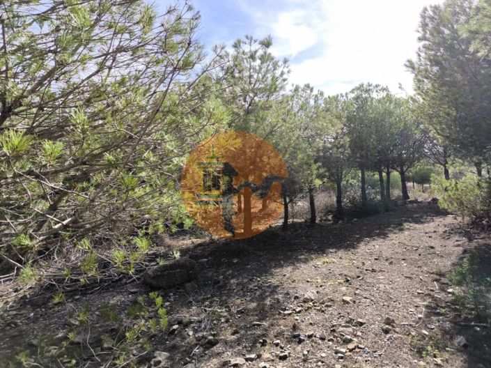 Image No.25-Plot for sale