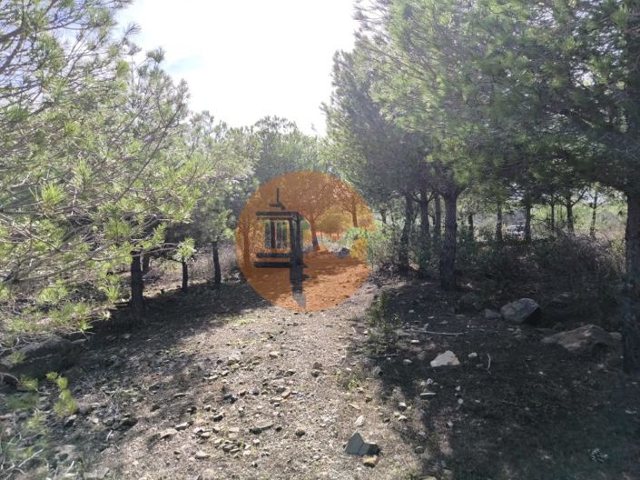 Image No.26-Plot for sale