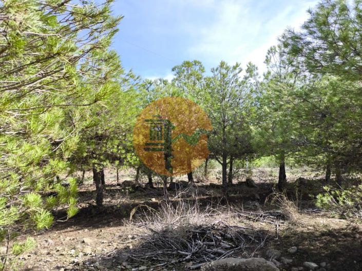 Image No.27-Plot for sale