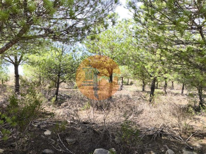 Image No.28-Plot for sale