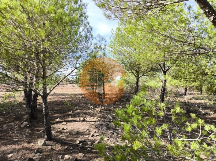 Image No.29-Plot for sale