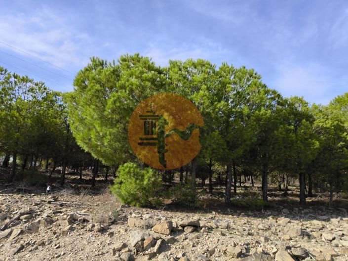 Image No.31-Plot for sale