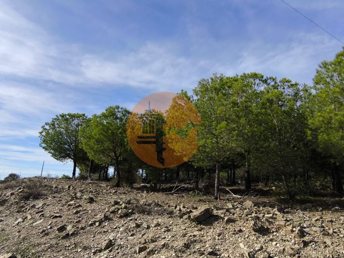 Image No.32-Plot for sale