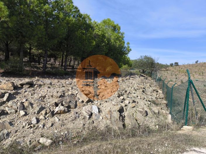 Image No.4-Plot for sale