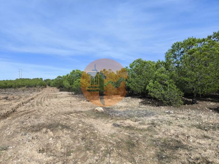 Image No.5-Plot for sale