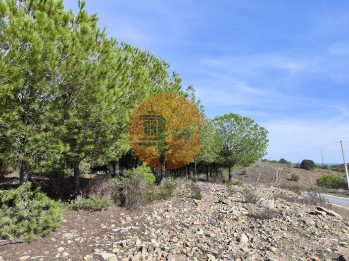 Image No.6-Plot for sale