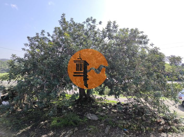 Image No.2-Maison de 1 chambre à vendre à Castro Marim