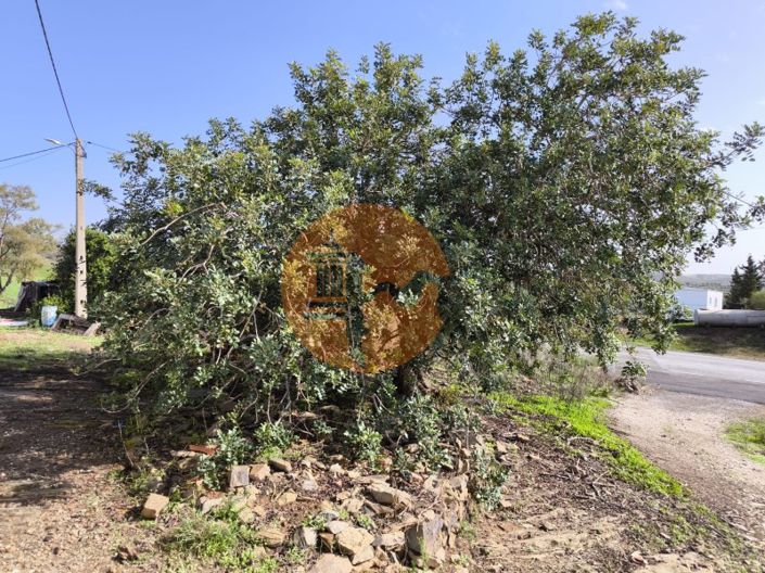 Image No.26-Maison de 1 chambre à vendre à Castro Marim