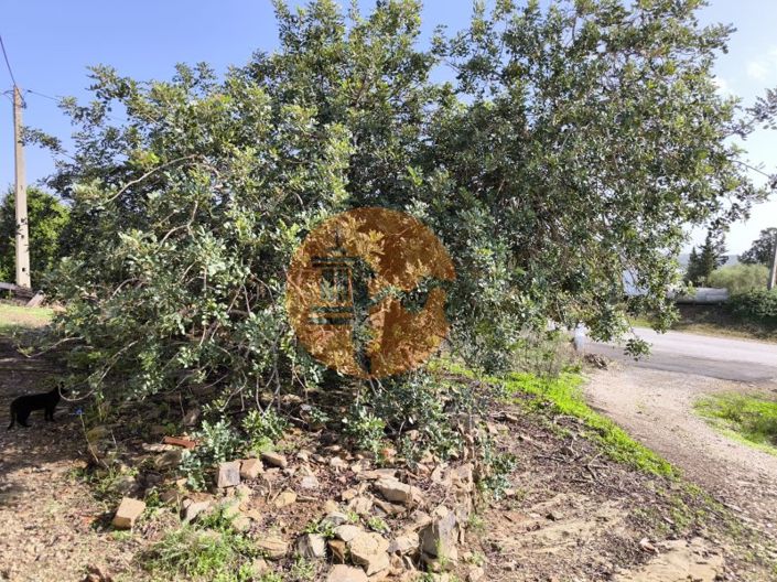 Image No.27-Maison de 1 chambre à vendre à Castro Marim