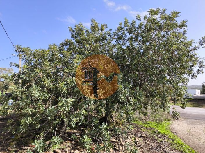 Image No.6-Maison de 1 chambre à vendre à Castro Marim