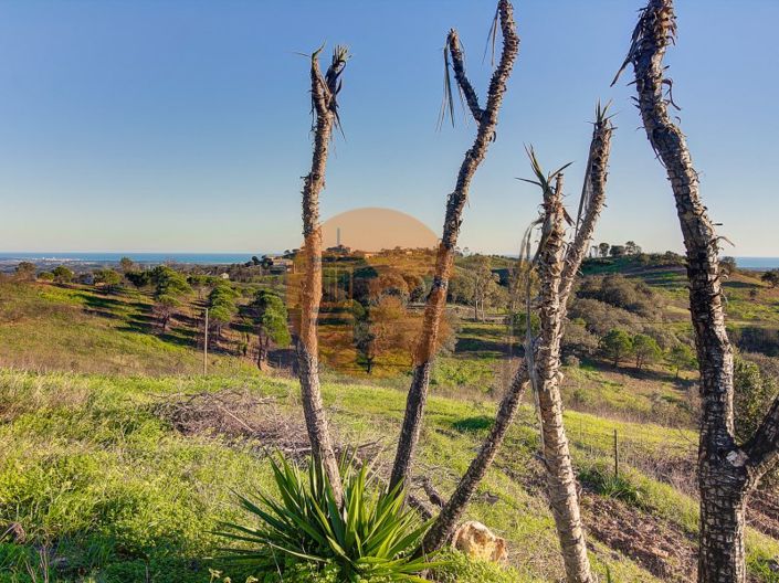 Image No.35-Maison de 3 chambres à vendre à Tavira