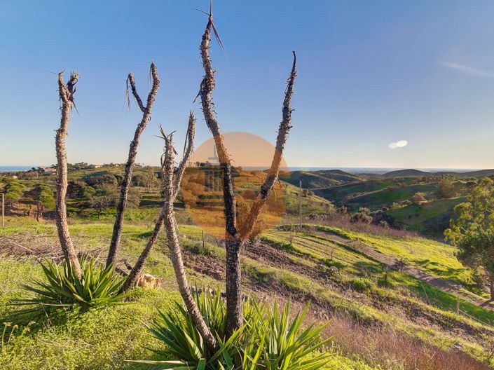 Image No.38-Maison de 3 chambres à vendre à Tavira