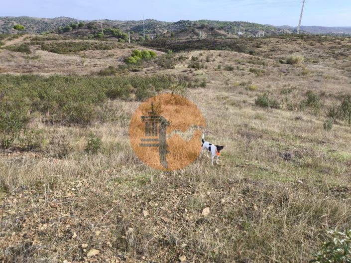 Image No.10-Plot for sale