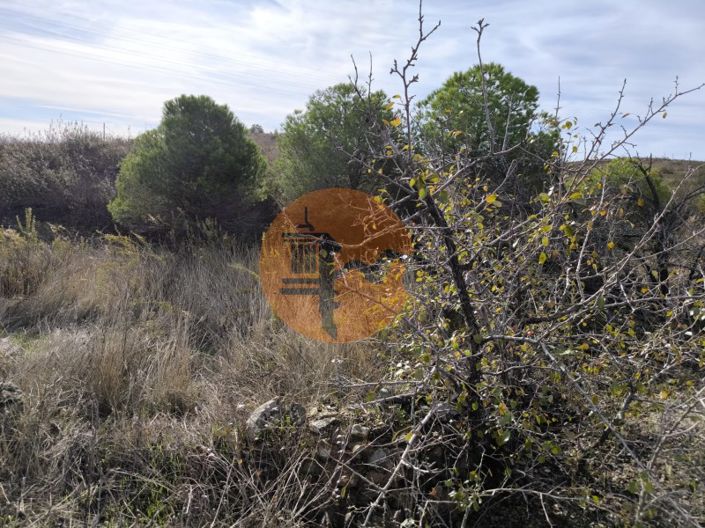 Image No.24-Plot for sale