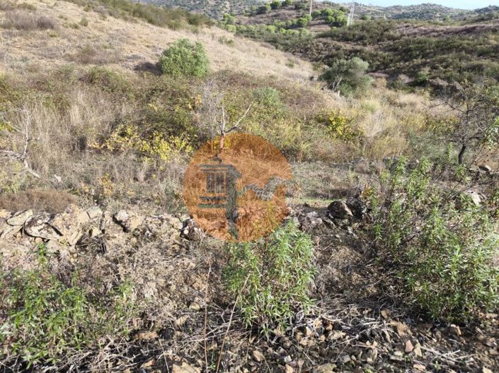 Image No.8-Plot for sale