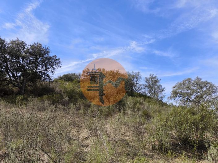 Image No.1-Plot for sale
