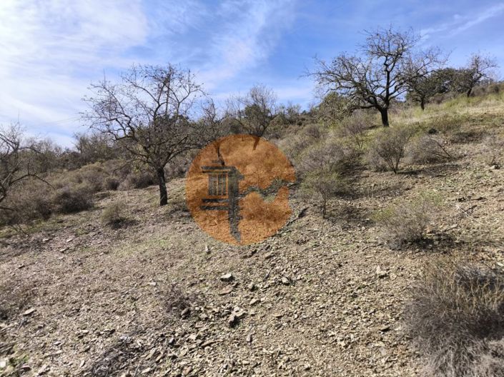 Image No.11-Plot for sale