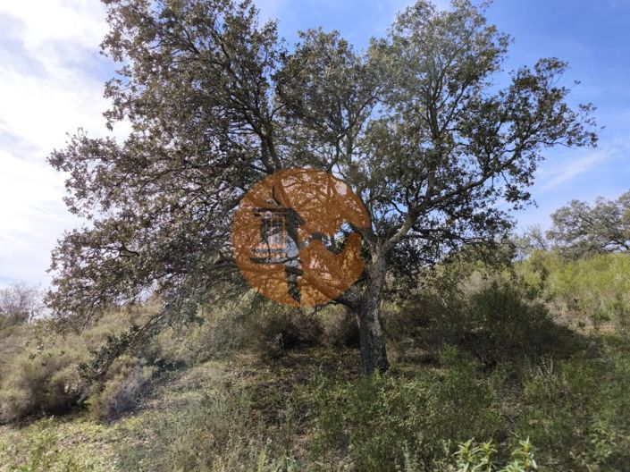 Image No.18-Plot for sale