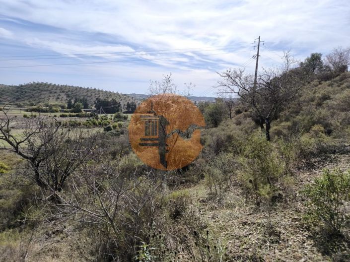 Image No.22-Plot for sale