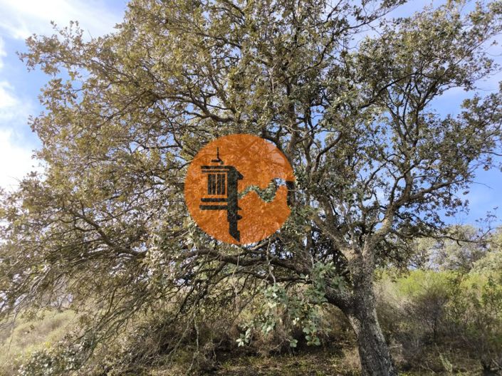 Image No.25-Plot for sale