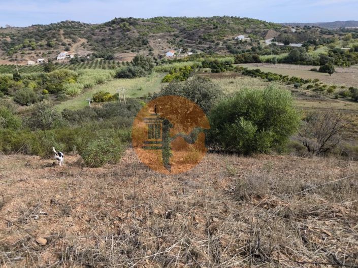 Image No.4-Plot for sale