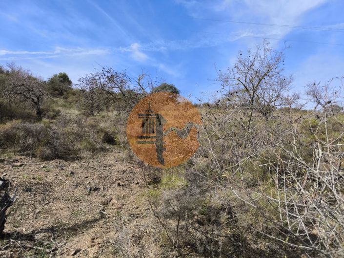 Image No.8-Plot for sale