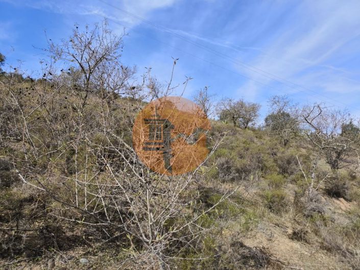 Image No.9-Terrain à vendre à Castro Marim