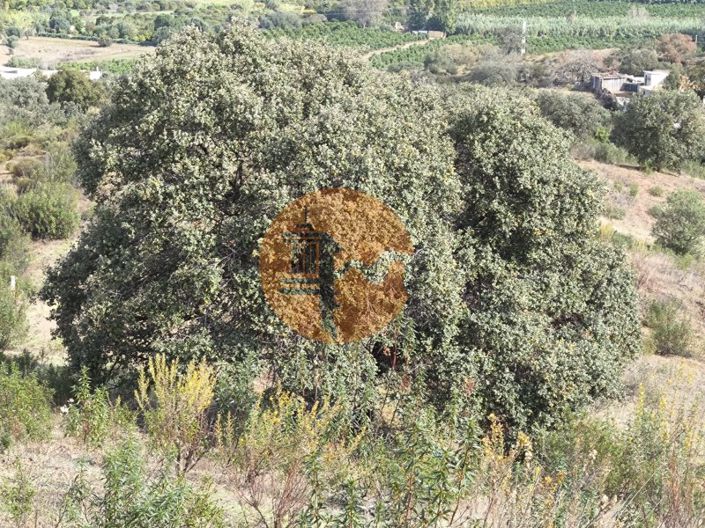 Image No.14-Terrain à vendre à Castro Marim