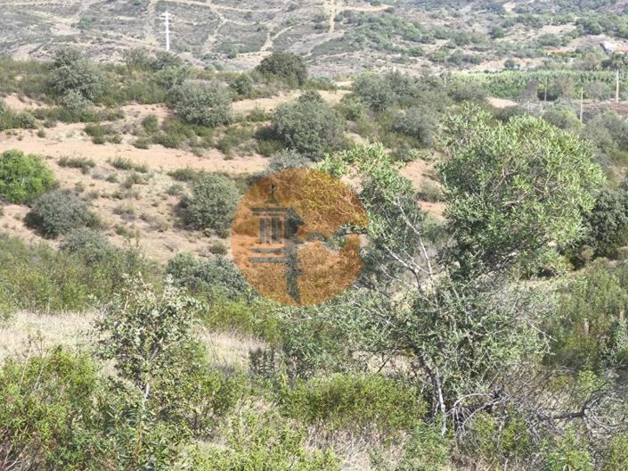 Image No.15-Plot for sale