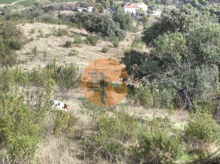 Image No.23-Plot for sale